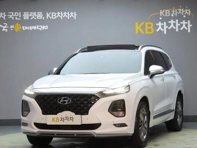 Hyundai Santa Fe TM 디젤 2.2 4WD 인스퍼Ray션 (2019년형)
