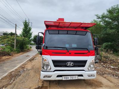 2017 Hyundai Mighty