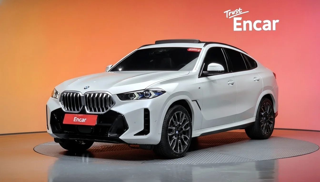 2024 BMW X6