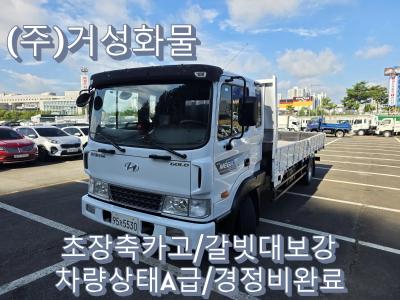 2009 Hyundai Mega Truck