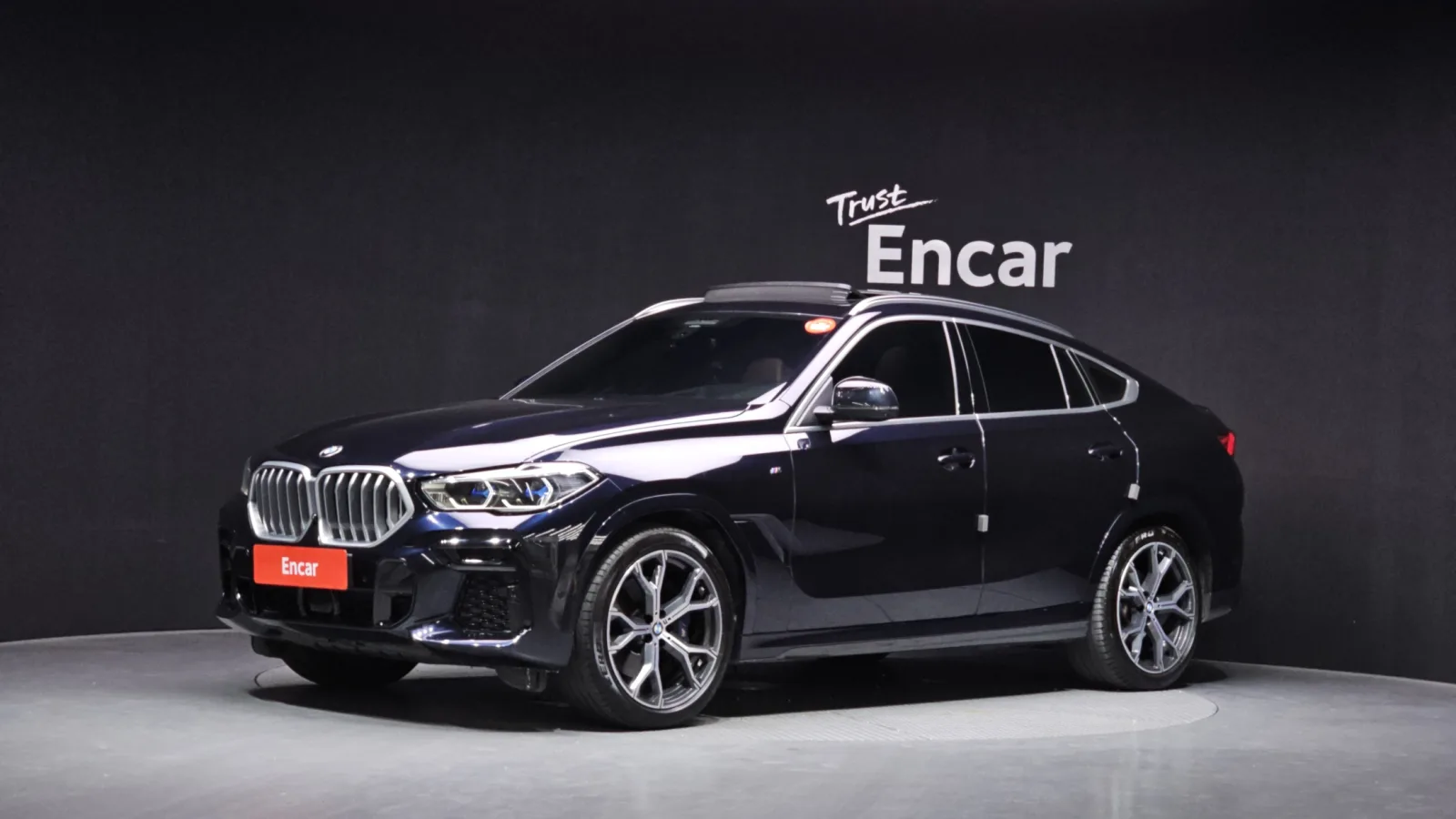 2023 BMW X6