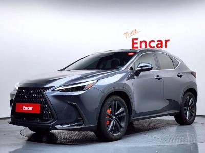 2024 Lexus NX