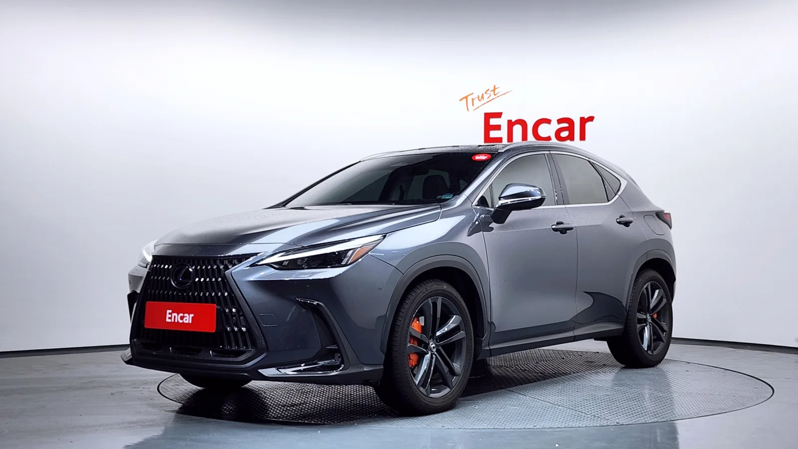 2024 Lexus NX