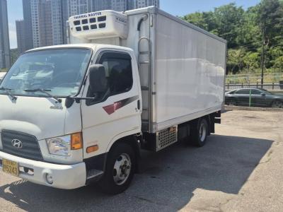 2010 Hyundai e-Mighty
