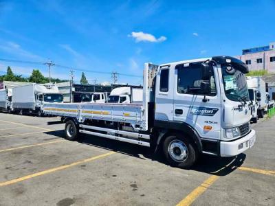 2019 Hyundai Mega Truck