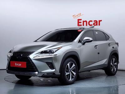 2019 Lexus NX