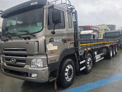 2013 Hyundai Trago