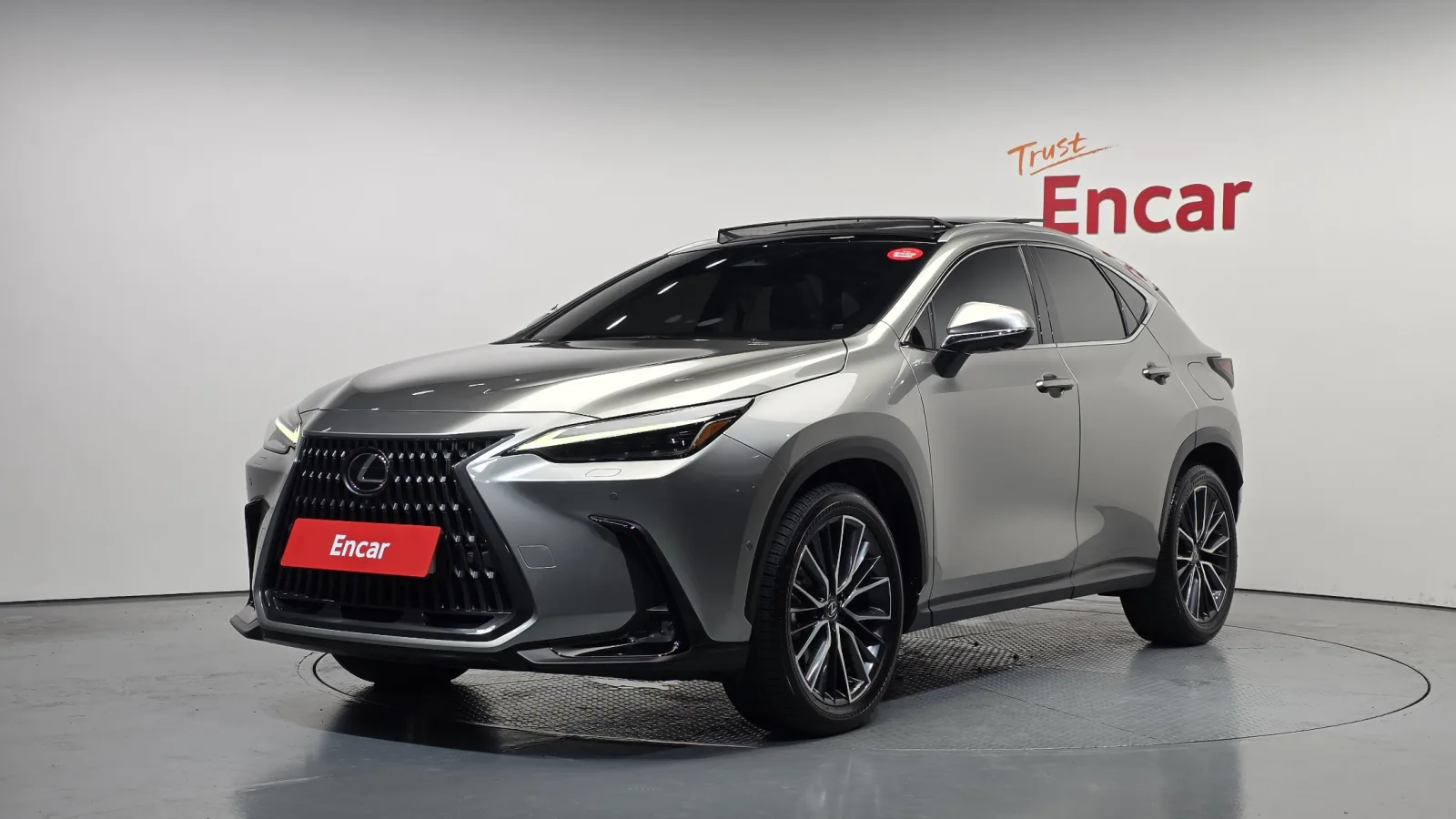 2024 Lexus NX