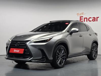2024 Lexus NX