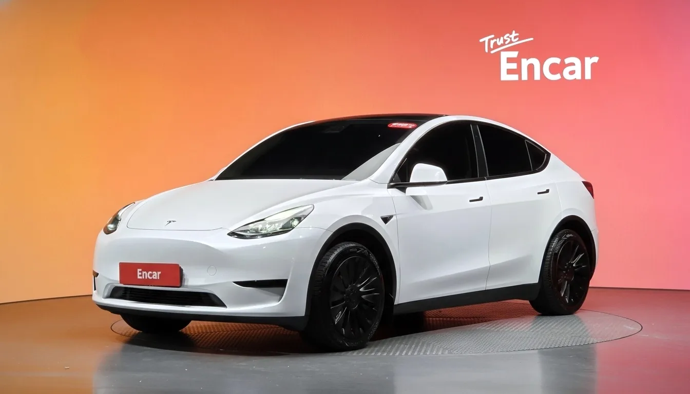 2024 Tesla Model Y