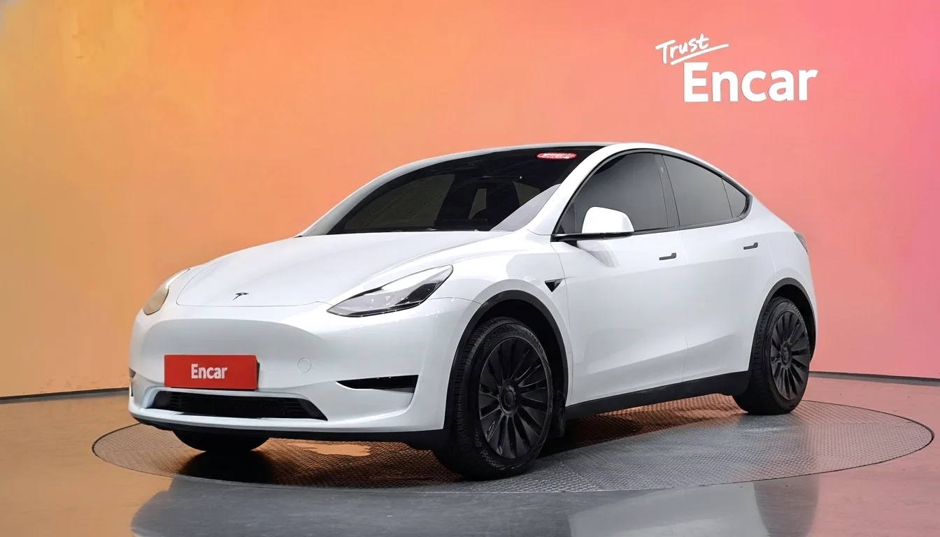 2024 Tesla Model Y