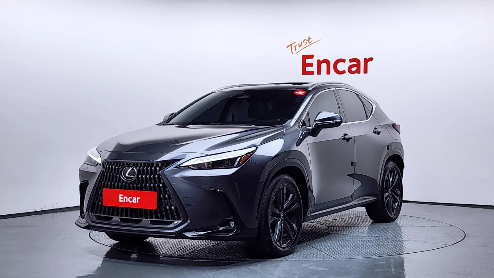 2024 Lexus NX