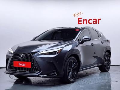 2024 Lexus NX