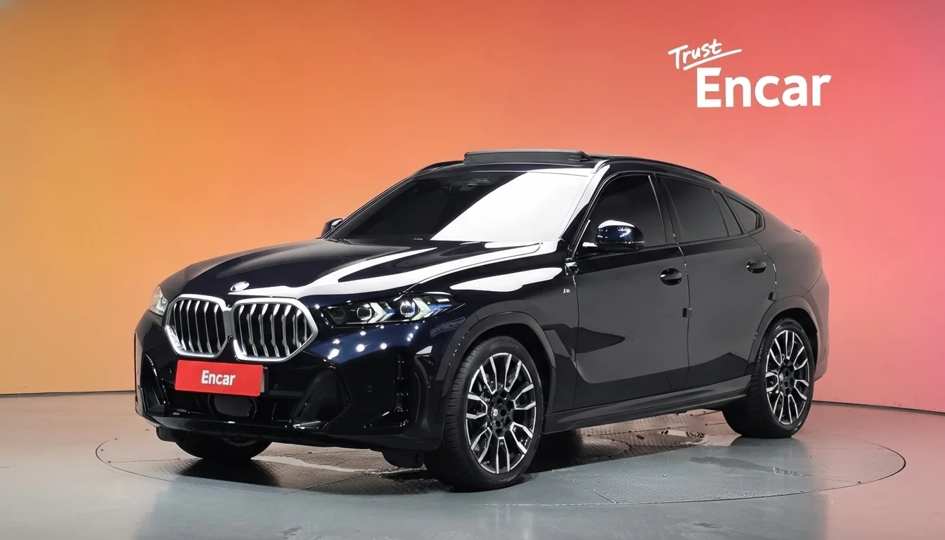 2025 BMW X6
