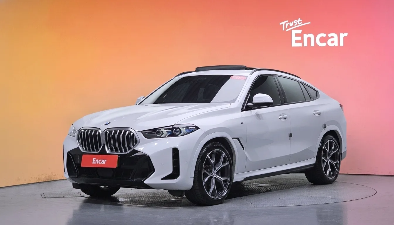 2024 BMW X6