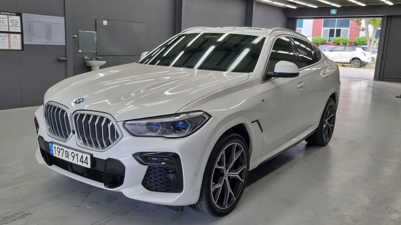 2022 BMW X6