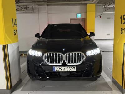 2024 BMW X6