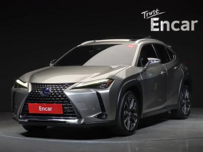 2019 Lexus UX