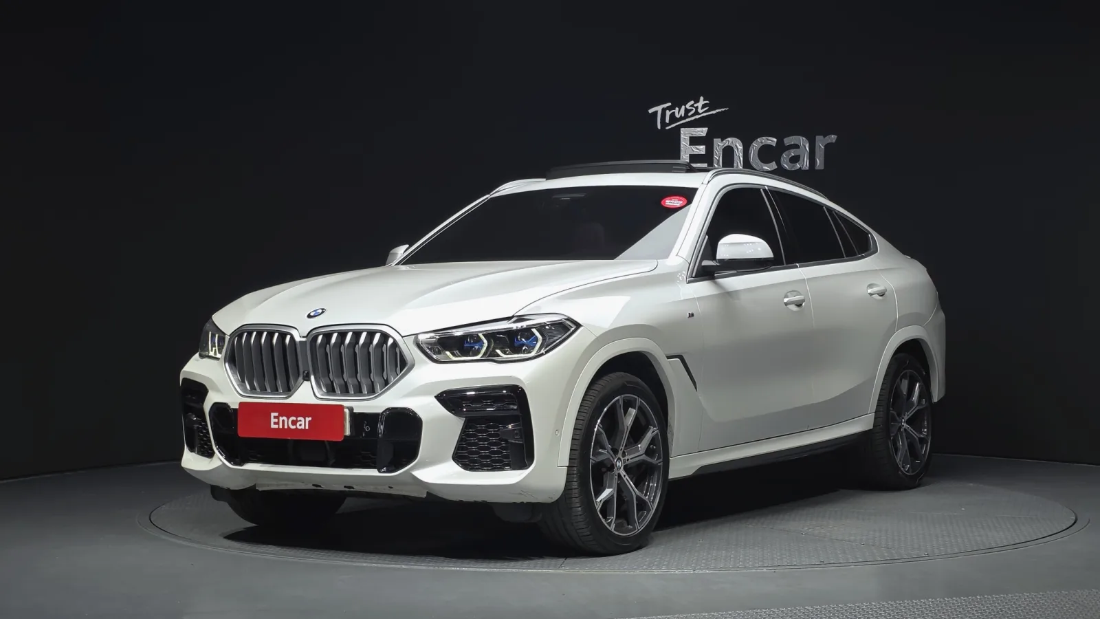 2023 BMW X6