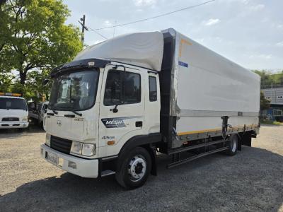 2010 Hyundai Mega Truck