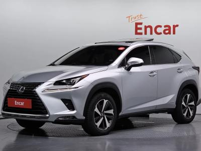 2019 Lexus NX