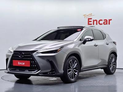 2025 Lexus NX