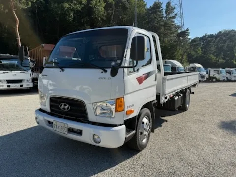 2011 Hyundai e-Mighty