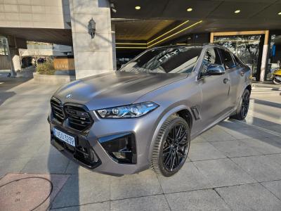 2024 BMW X6M
