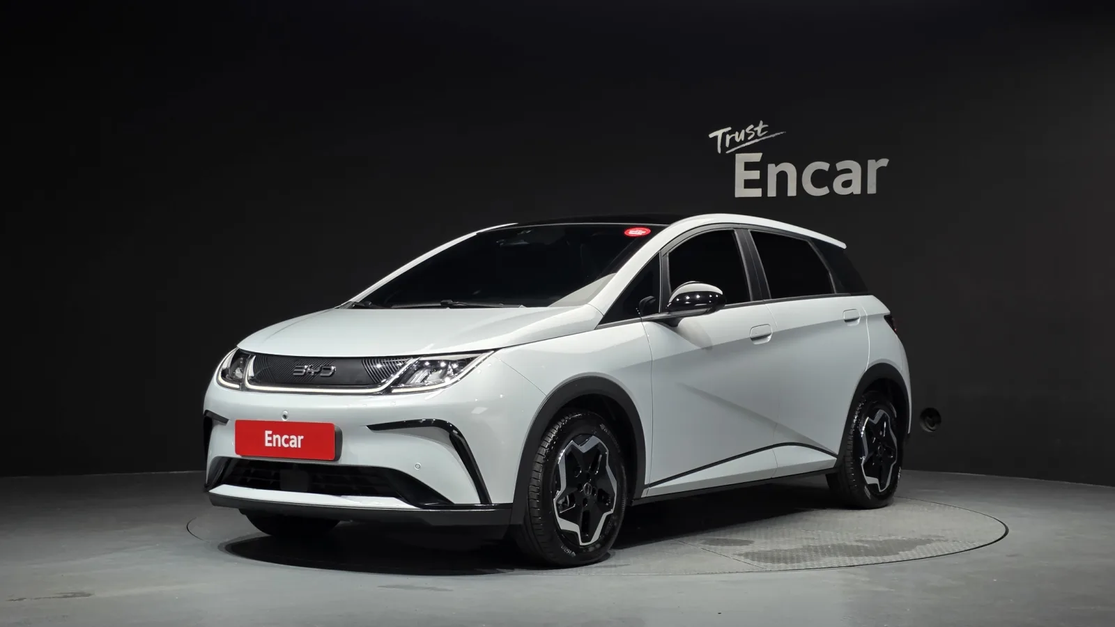 2026 BYD Dolphin