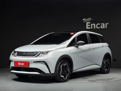 2026 BYD Dolphin