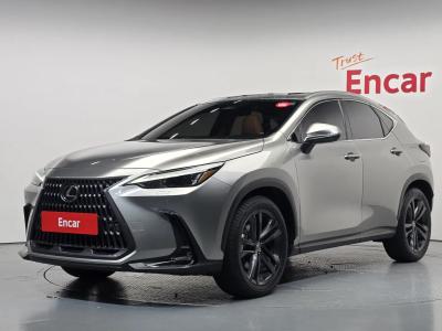 2025 Lexus NX