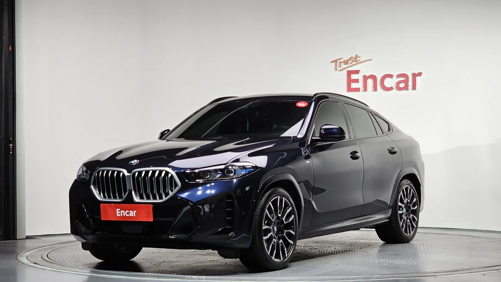 2025 BMW X6