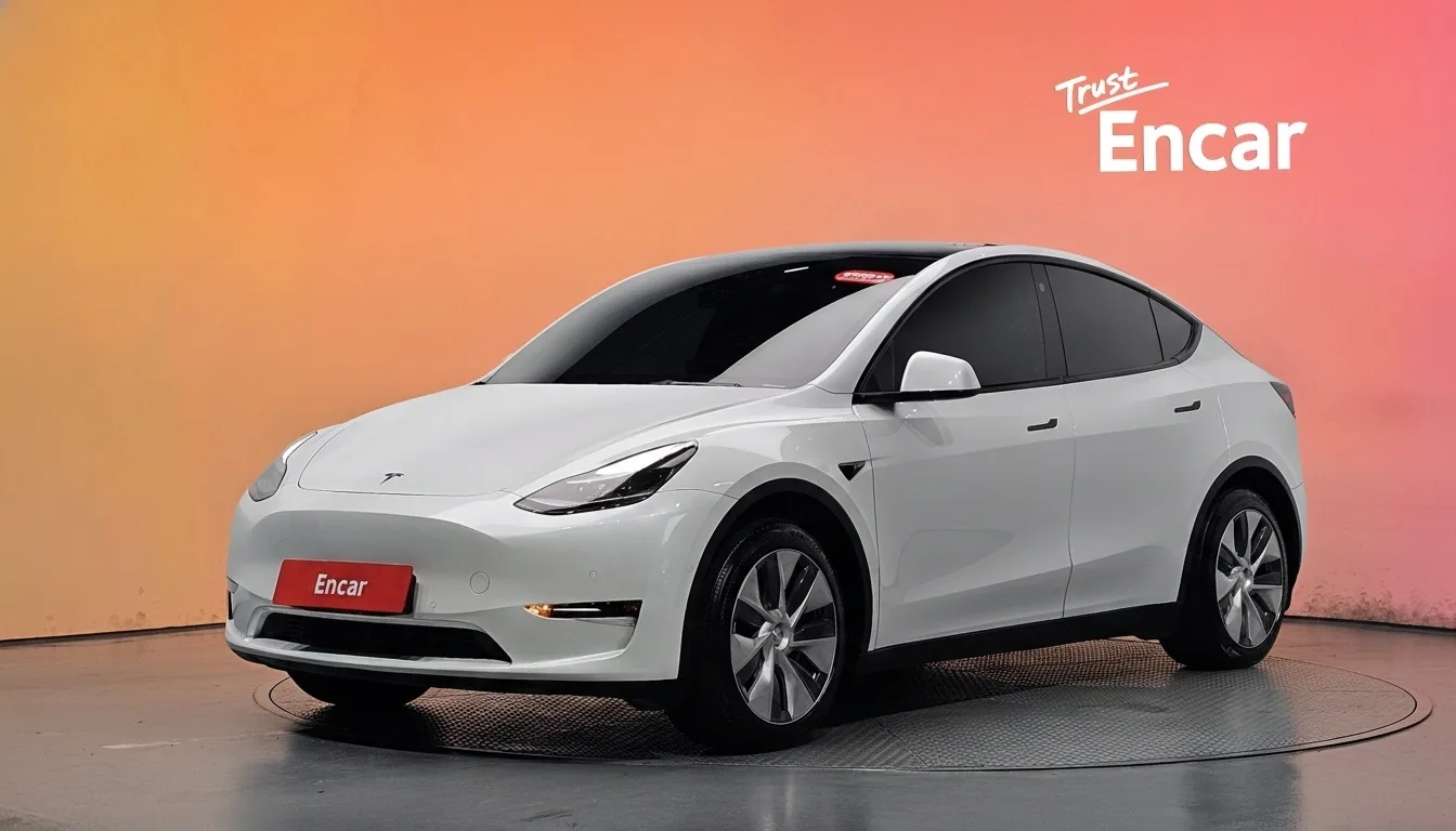 2021 Tesla Model Y