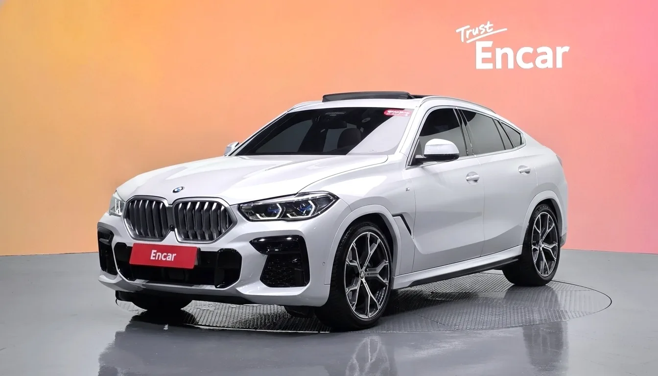 2023 BMW X6