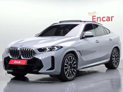 2024 BMW X6