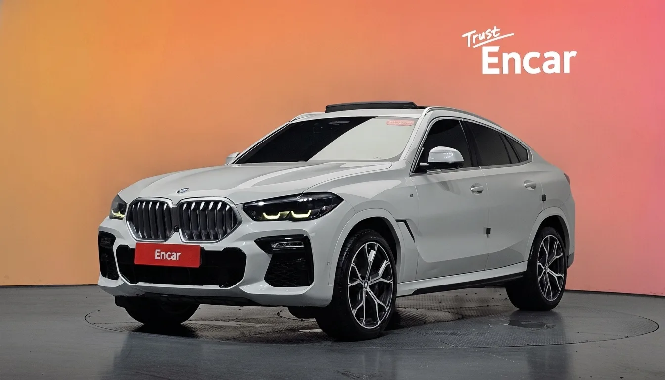 2020 BMW X6