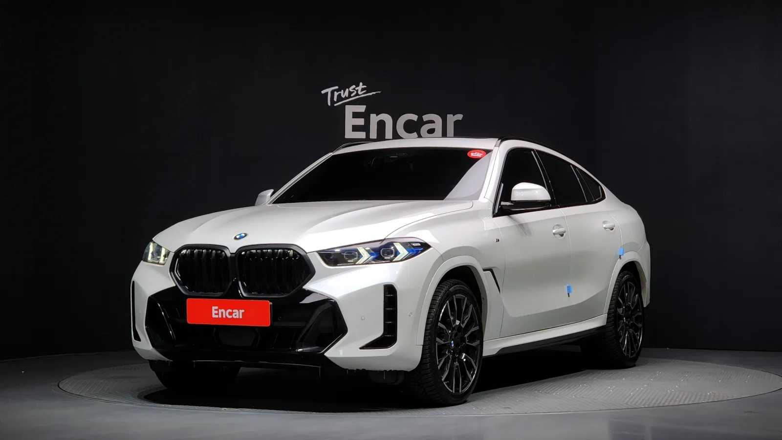 2024 BMW X6
