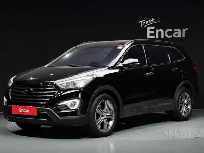 2014 Hyundai Maxcruz