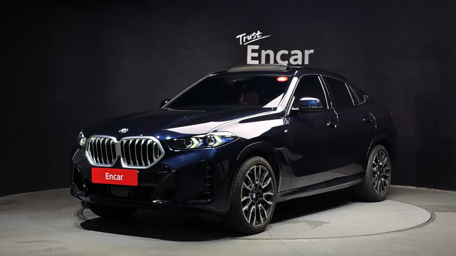 2025 BMW X6