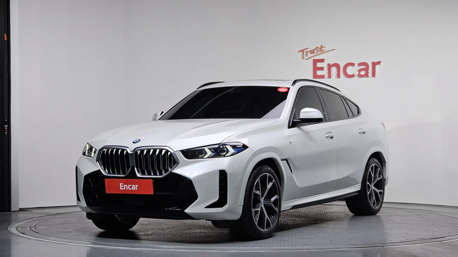 2024 BMW X6