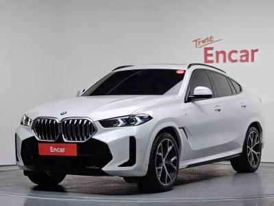 2024 BMW X6