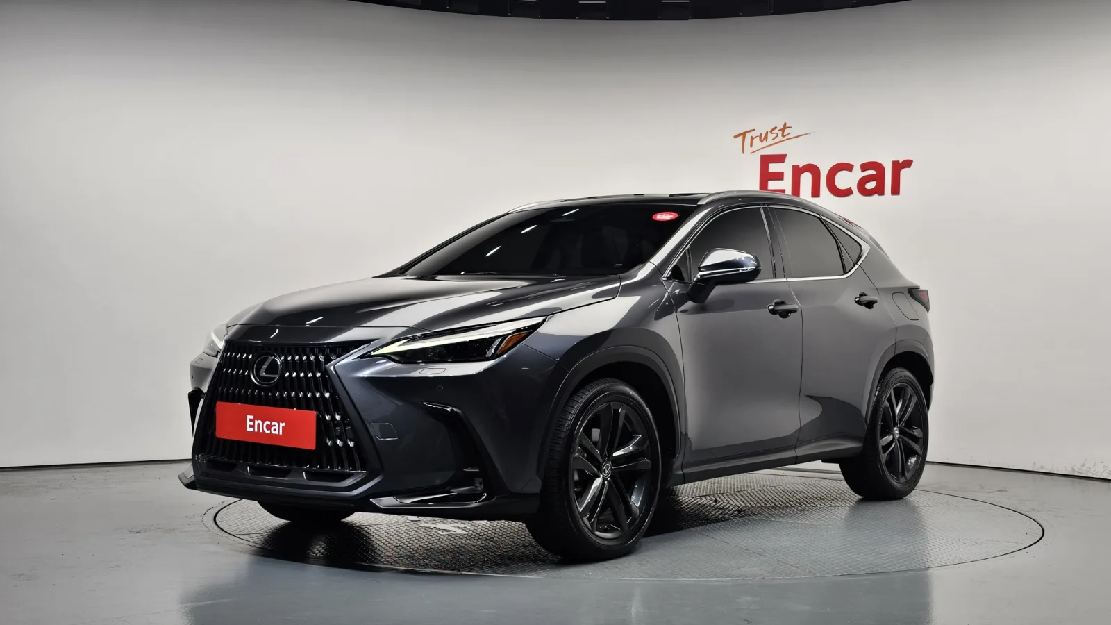 2024 Lexus NX