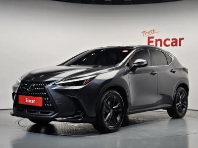 2024 Lexus NX