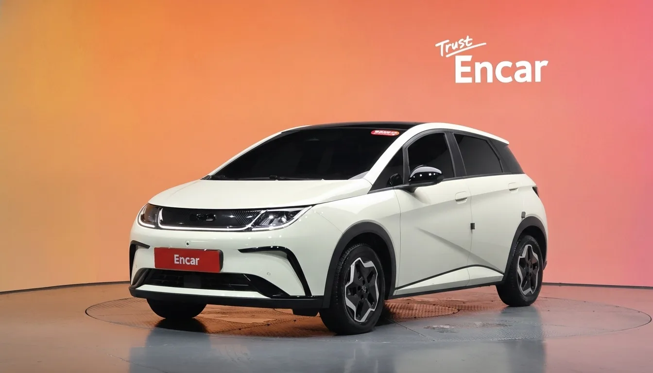 2026 BYD Dolphin