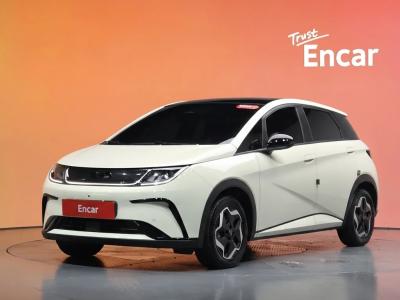 2026 BYD Dolphin