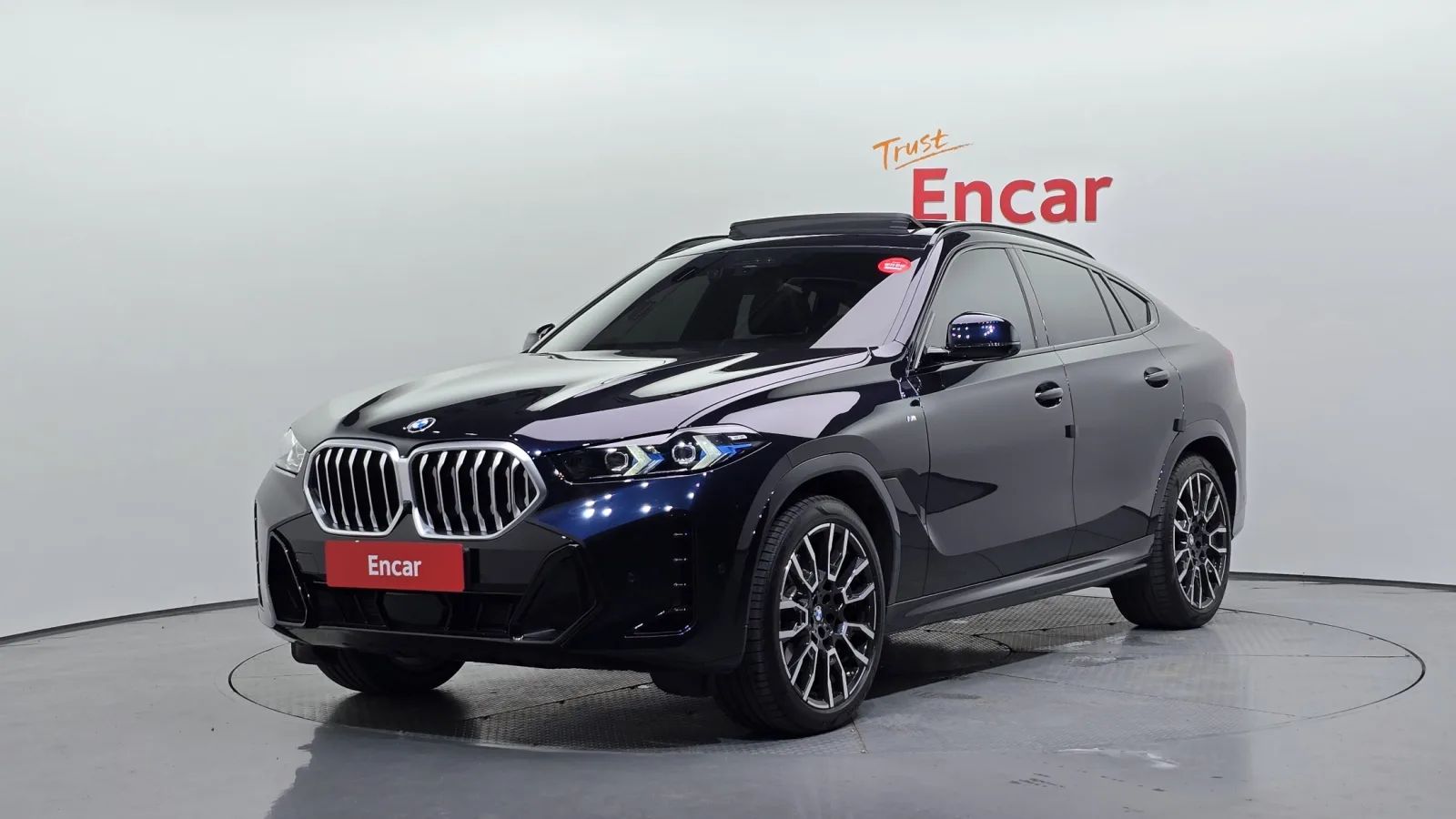 2025 BMW X6