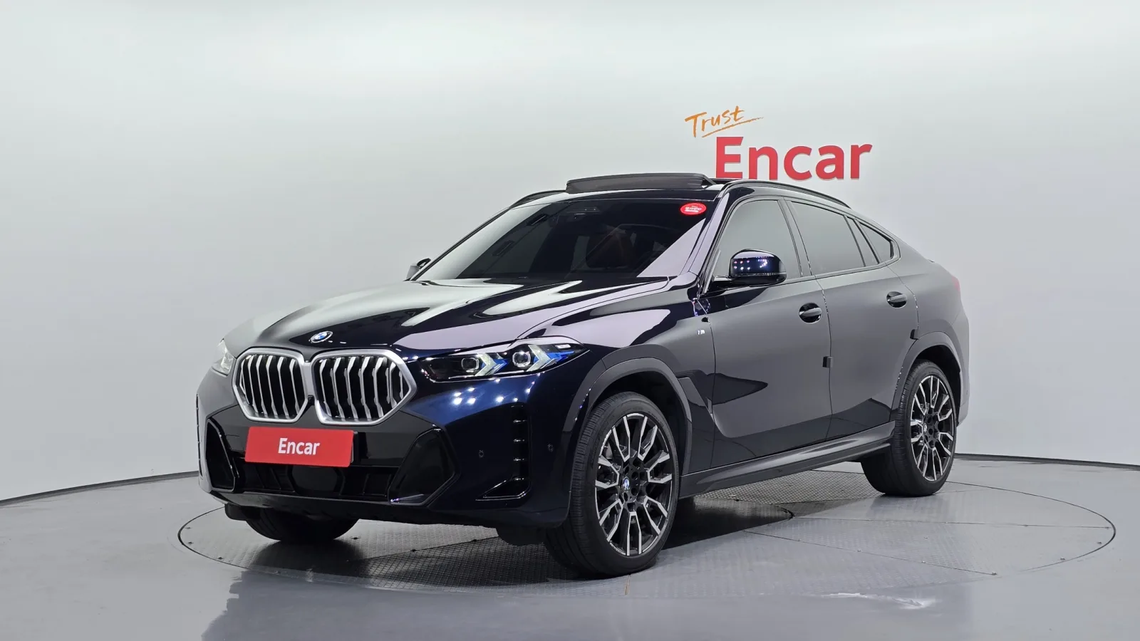 2024 BMW X6