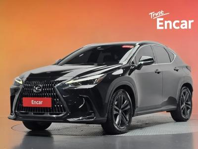 2024 Lexus NX