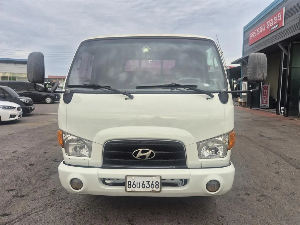 2011 Hyundai e-Mighty