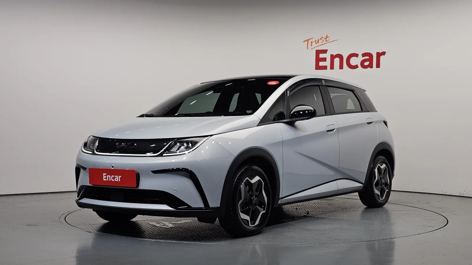 2026 BYD Dolphin
